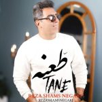 دانلود آهنگ رضا شمس نگاری طعنه